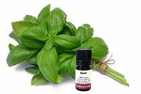 Basil 100% Pure Essential Oil - 5ml