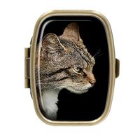 Scottish Wildcat Rectangular Bronze Pill Box Case Pocket Medicine Tablet Holder Organizer Pill Decorative Box Case Wallet Purse Pocket