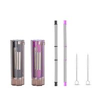 Collapsible Reusable Straws Stainless Steel Metal Drinking Straw Portable Straw with Case(GrayPurple)
