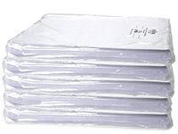 Carton Premium White Tissue 15x20" ~ 5 Packs at 960 Sheets/pk - WRAPS-WT15B