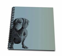 3dRose db_130560_1 Adorable Daschund Dog Pets Animals Drawing Book, 8 x 8