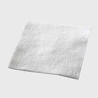 Coloplast SeaSorb Soft Alginate With Silver 6 x 6 Inch - Box