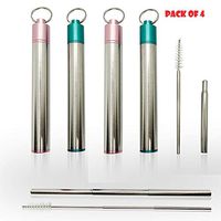 Collapsible Retractable Stainless-Steel Straws (2 blue & 2 pink)