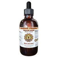 Yellow Dock Liquid Extract, Organic Yellow Dock (Rumex Crispus) Tincture 2x2 oz