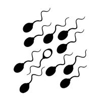 Leon Online Box Sperm Wrong Way - Funny Decal [Choice] Vinyl Sticker for Car, Bike, iPad, Laptop, MacBook, Helmet