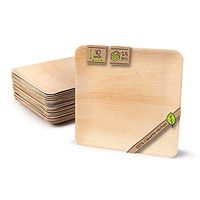 Naturally Chic Compostable Biodegradable Disposable Plates - Palm Leaf 10” Square Small Dinnerware Set - Eco Friendly Alternative - Party, Wedding, Event Plates (25 Pack)