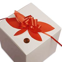 Red Petal Polypropylene Pull Bow | Quantity: 100 | Width: 3"