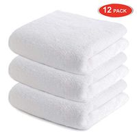 CARTMAN Microfiber Cleaning Cloth, Thick & Large Model, 350GSM 15.7 in x 23.6 in, 12pk (White)