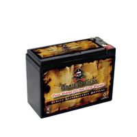 SCHWINN S500 12V 10AH UPG UB12100-S SLA Battery