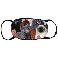 NiYoung Cat Kitten Lovely Anti-Dust Earloop Mouth Cover for Women Men, Pollen Cycling Painting Half Face Mouth Cover - Adjustable Elastic Band