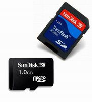 1GB SanDisk MicroSD TransFlash Memory Card (Retail-Paper Pack)