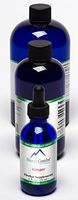 8oz. Ginger – Supports Circulation, The Liver, Colon, Digestion and More – Alcohol-Free Liquid Extract