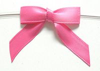 BAYWIND LTD; 2.75" Twist Tie Bows- 100pc (Hot Pink)