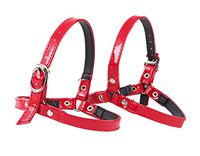 High-Heeled Shoes with Straps,Anti-Fall,Strapped Buckles-F2