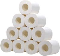 Toilet Paper White Bathroom Tissue Family Roll Paper Super Soft Toilet Paper Bulk (White 10Rolls)