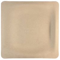 World Centric's Compostable Plant Fiber 10 inch Square Plates (Package of 200)