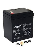 CASIL CA-1240 12V 4AH Sealed Lead Acid Battery for Razor E100 E125 E150 E175