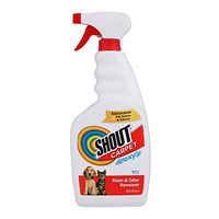 Shout Carpet Stain Odor Eliminator Spray | Completely Removes Tough Urine Stains & Prevents Remarking | Safe for Kids & Pets, | Fresh Scent, 32 Ounces