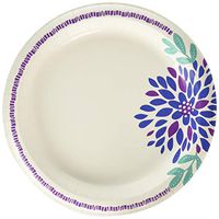 Dixie Plates - 10 in - 26 Ct