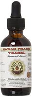 Teasel Alcohol-FREE Liquid Extract, Teasel (Dipsacus fullonum) Dried Root Glycerite 2 oz