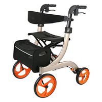 Standard Walkers Walker Elderly Shopping Cart Trolley Lower Limb Rehabilitation Aids Disabled Four-Wheeled Scooter (Color : Silver, Size : 607377cm)