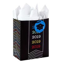 Hallmark 9" Medium Class of 2019 Graduation Gift Bag with Tissue Paper (Black)