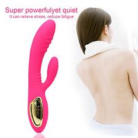 Whisper DV Vibrator Charging Port Laptop Water Resistant Outdoor/Indo Smart Audio Pouches Travel USB Cable Gift Boxes Device Accessories (Pink)