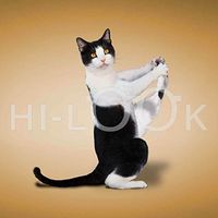 Hi-Look Microfiber Cleaning Cloth, cat design - Yoga Cat - Franklin