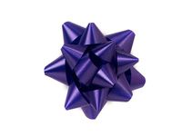 Poly Star Gift Bows - Purple Small Star Gift Bows 2-1/2" Bows - 100% Polypropylene (8 Packs; 48 Bows Per Pack) - WRAPS-BS3PU