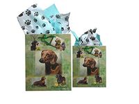 Dog Breed Gift Bags Set of Two with Tissue Paper (Dachshunds/Doxie)