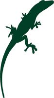 hBARSCI Newt Lizard Vinyl Decal - 5 Inches - for Cars, Trucks, Windows, Laptops, Tablets, Outdoor-Grade 2.5mil Thick Vinyl - Dark Green