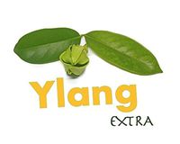 Totally Essential Aromatherapy Spray Refill (250ml, Ylang Extra)