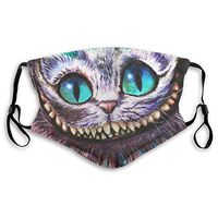 2pcs Ma-sk Wonderland Cheshire Cat Smile PM2.5 Non-Medical Dust with Replaceable Filter Elements