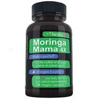 Moringa Capsules: 4x Strength 100% Pure Leaf Extract Moringa Powder Superfood Green Powder, 2400mg Daily Complete Green Superfood Powder Wellness Formula Capsules Vegan Whole Foods Vitamins Iron Pills