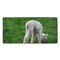 White Alpaca Baby Microfiber Cleaning Cloths | Best Towels For House-Hold Cleaning, Dusting, Scrubbing, Absorbing | size 11.8 X 27.5 Inches