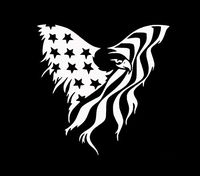 Makarios LLC Eagle American Flag Cars Trucks Vans Walls Laptop MKR| White |5.5 x 5.25|MKR649