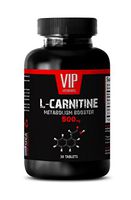 l carnitine Tartrate Bulk - Carnitine 500mg - Performance Enhancer (1 Bottle - 30 Tablets)