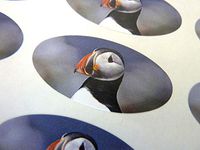 Minilabel Pack Of 48 Puffin, Seabird 40X20mm Oval Seal Labels, Stickers For Craft, Decoration, Gift Wrapping, Presents, Envelopes, Bags Or Cards