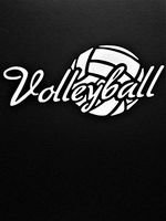 Chase Grace Studio Volleyball Vinyl Decal Sticker|White|Cars Trucks Vans SUV Laptops Wall Art|7.5" X 3.25"|CGS832