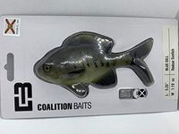 13 Fishing The Gill Redear Sunfish