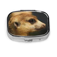 Cute Animal Meerkat Painting Portable Vitamin Medicine Square Pill Case, Purse Pocket Pill Boxes Organizer with 2 Compartment