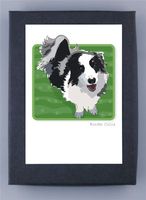 Border Collie Grrreen Box Notes