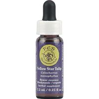 Flower Essence FES Quintessentials Yellow Star Tulip Supplement Dropper - 0.25 fl oz