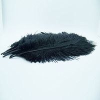 KOLIGHT 20pcs Ostrich Feather Black 10"-12" Natural Feathers Wedding, Party,Home,Hairs Decoration