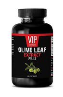 Immune Support Booster - Olive Leaf Extract Pills 500 Mg - Olive Energy Skin Care - 1 Bottle (60 Capsules)