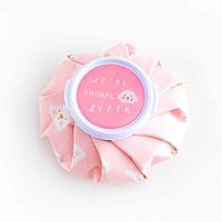 Cold Packs - 1PC Creative Small Fresh Cute Mini Ice Packs Cool Cold Bag