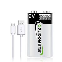 Delipow USB Rechargeable Batteries 9V, 650mAh Li-ion 1.5h Quick Charge Battery Cell, Recyclable Recharge Battery with Micro USB Charge