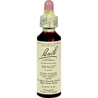 2Pack! Bach Flower Remedies Essence Holly - 0.7 fl oz