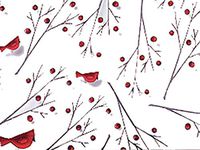 Christmas Cellophane Gift Wrap - 30" x 100' - Cardinal Bird