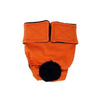 Barkertime Cat Diapers - Made in USA - Neon Orange Washable Cat Diaper, M, Without Tail Hole for Piddling, Spraying or Incontinent Cats